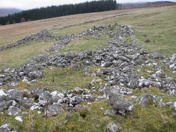 Ruins of Auchdrumnahuagie